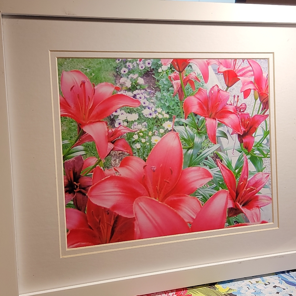 My Garden Framed Print